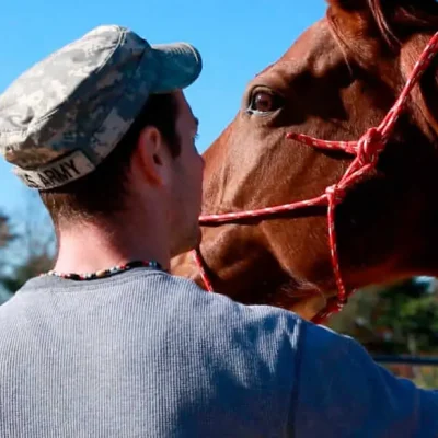 Veteran-horse-therapy.jpg